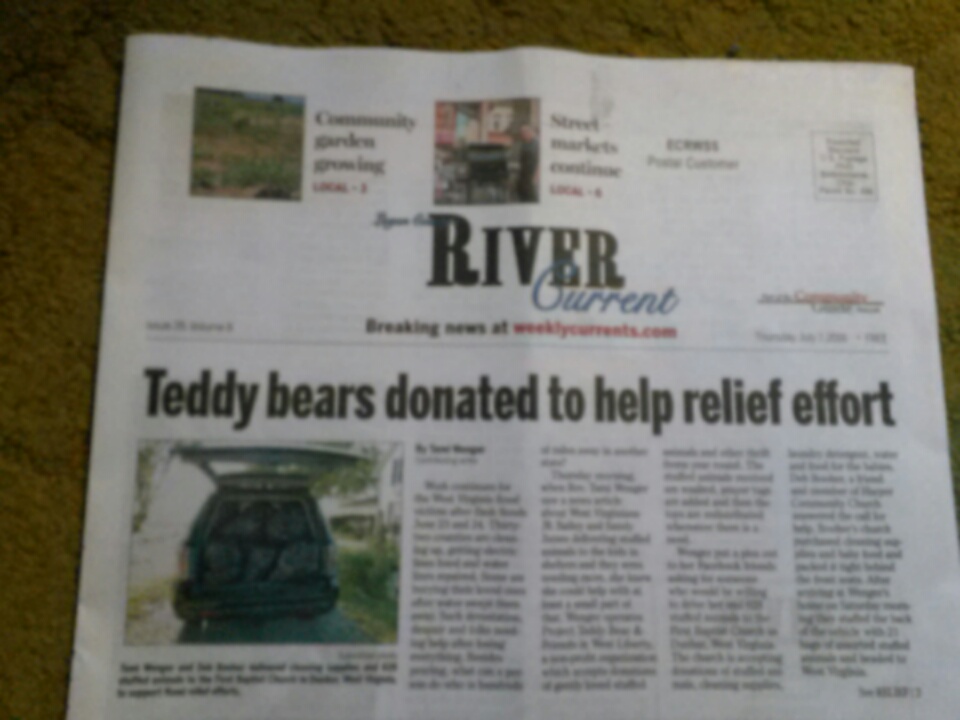 Project Teddy Bear in The River Current